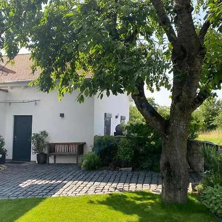 Colle Divino Würzburg