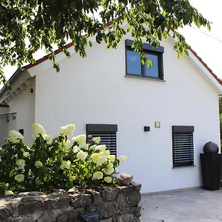 Colle Divino Apartmán