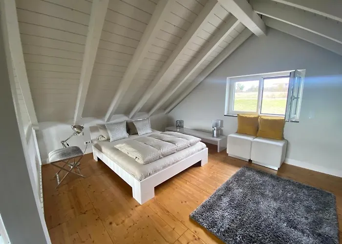 Colle Divino Daire Würzburg