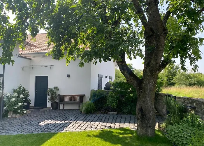 Colle Divino Würzburg